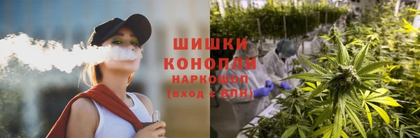 эйфоретик Заводоуковск