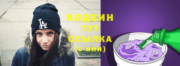 дурь Алексин