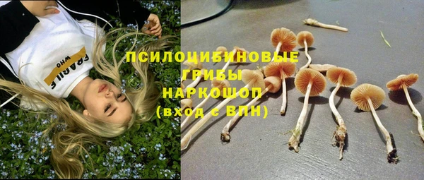 ПСИЛОЦИБИНОВЫЕ ГРИБЫ Краснотурьинск