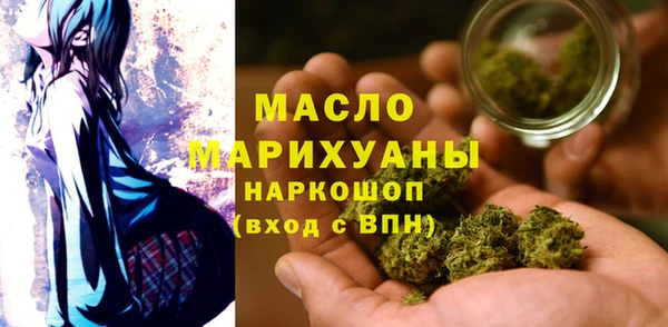 индика Заволжье