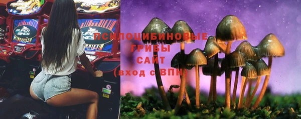 ешки Зеленодольск
