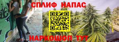 стаф Тара