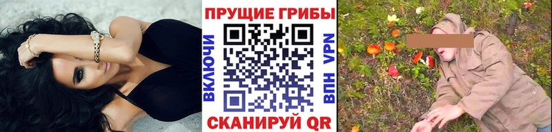 Псилоцибиновые грибы MAGIC MUSHROOMS  shop телеграм  Строитель 