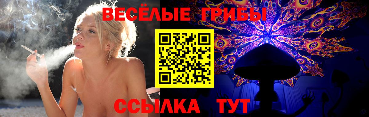 Псилоцибиновые грибы MAGIC MUSHROOMS Строитель