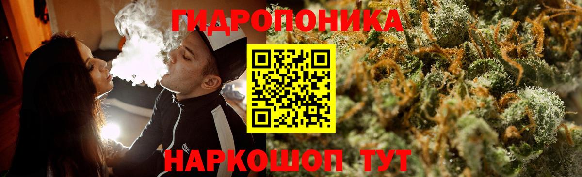 Шишки марихуана OG Kush Строитель